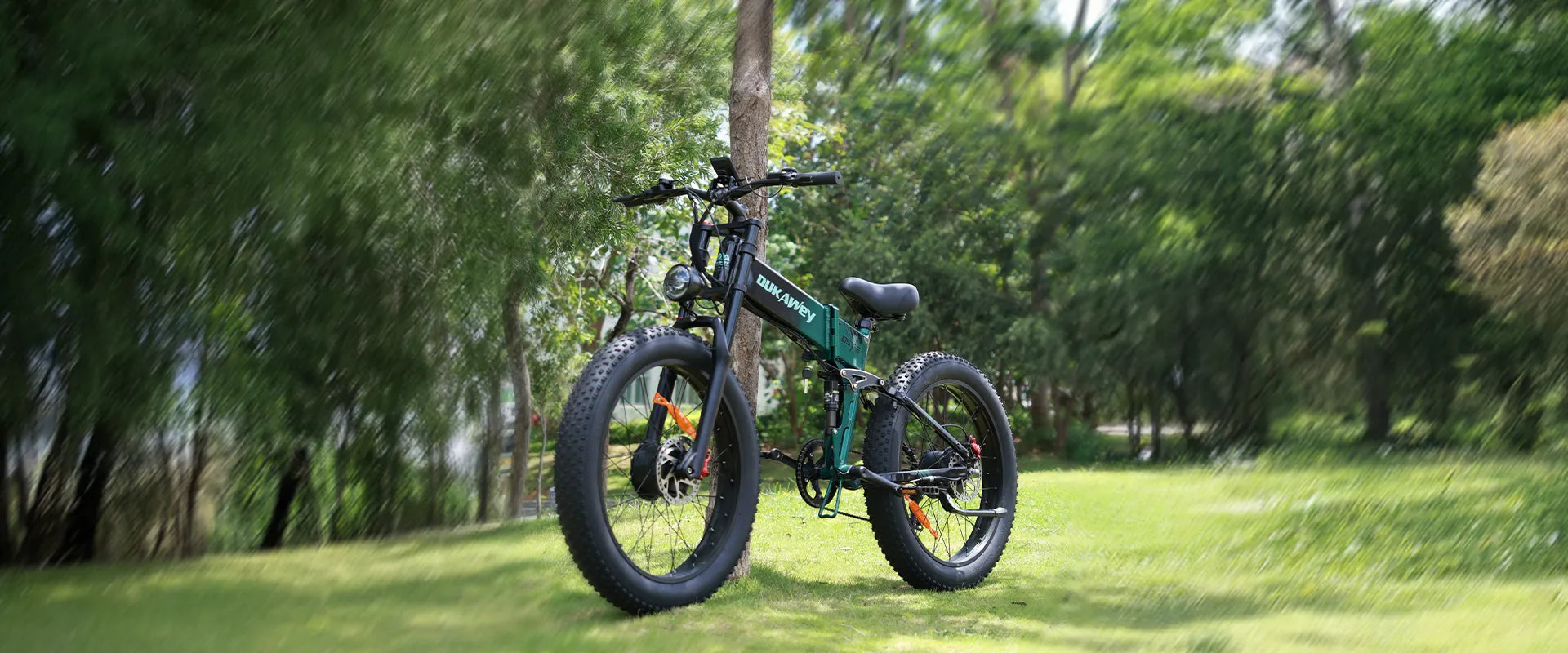 BST-6