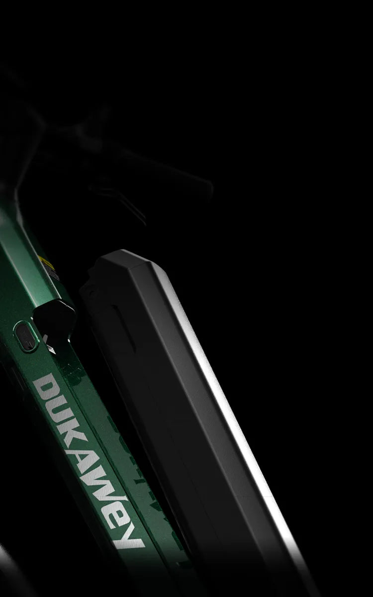 Batteria portatile di grandi dimensioni