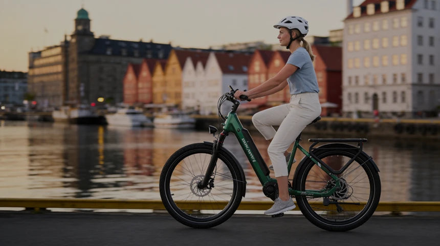 E-bike da città