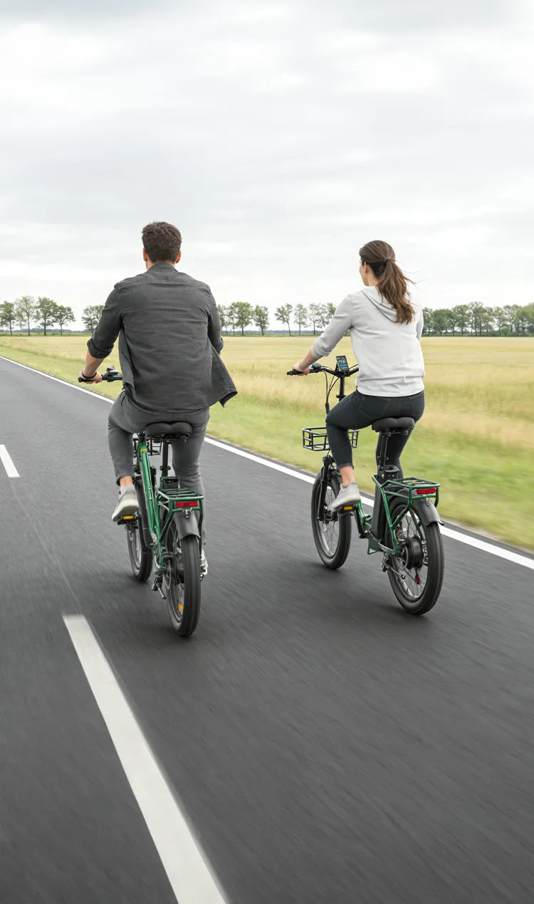 Bici elettriche